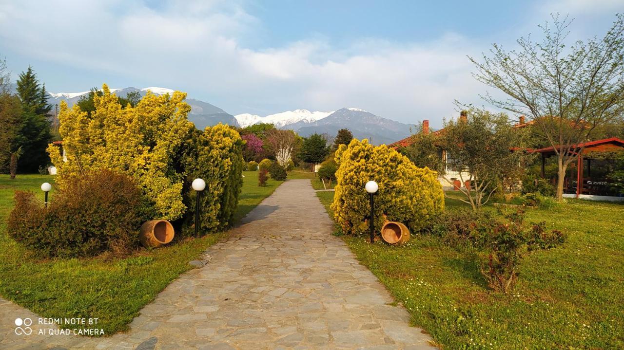 Villa Casa Consta Olympus Litochoro Exterior foto