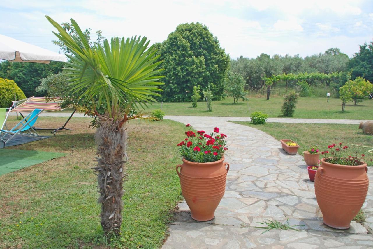 Villa Casa Consta Olympus Litochoro Exterior foto