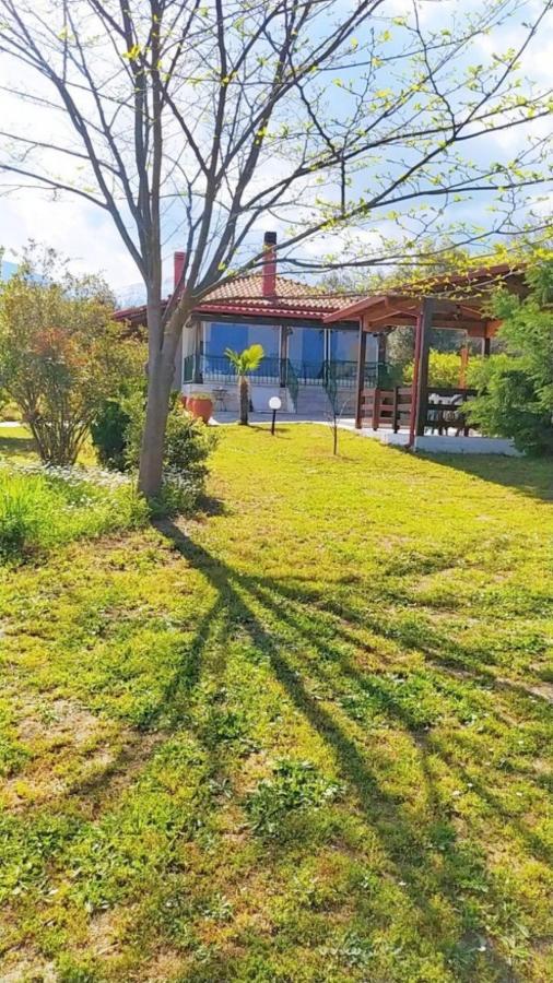 Villa Casa Consta Olympus Litochoro Exterior foto