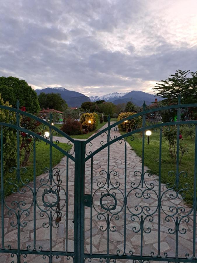 Villa Casa Consta Olympus Litochoro Exterior foto