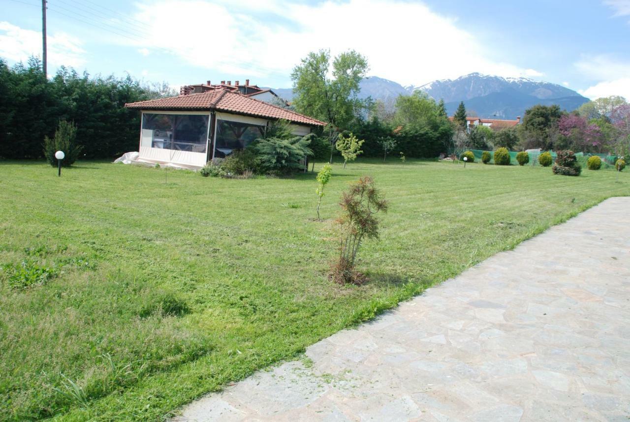 Villa Casa Consta Olympus Litochoro Exterior foto