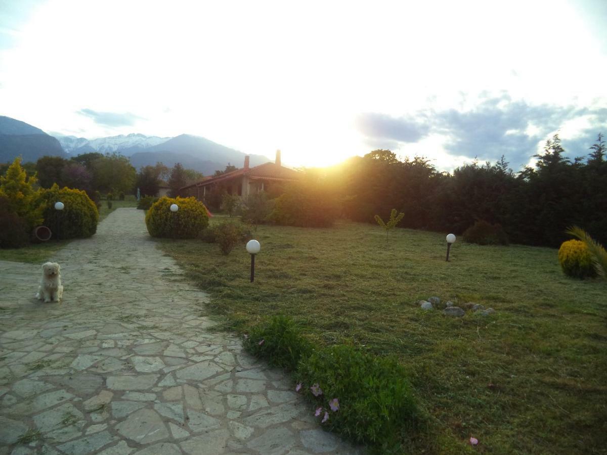 Villa Casa Consta Olympus Litochoro Exterior foto